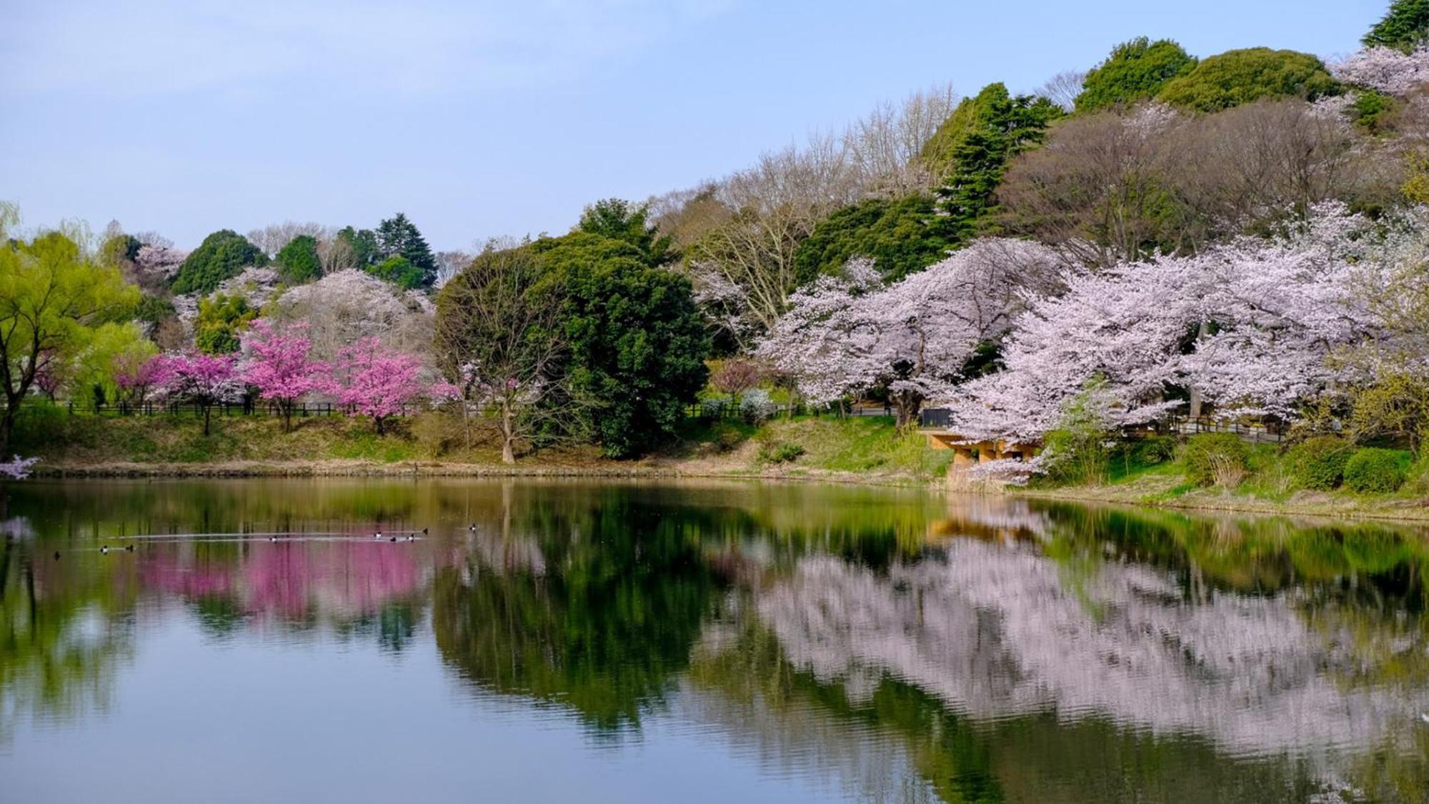 Toyoko Inn Yokohama Tsurumi Eki Higashi Guchi מראה חיצוני תמונה